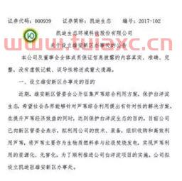 凯迪生态*公告