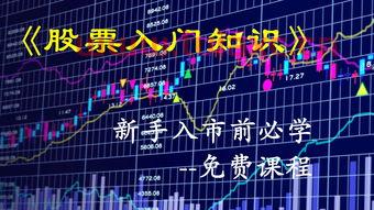 600141资金流向