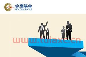 金鹰基金管理有限公司