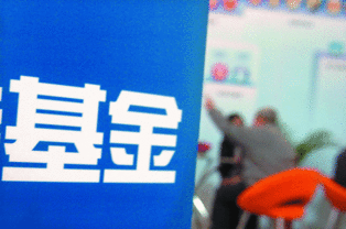 基金公司年报哪查