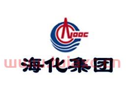 山东海化集团