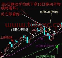 600639股票