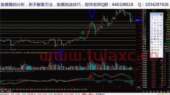 a股什么意思