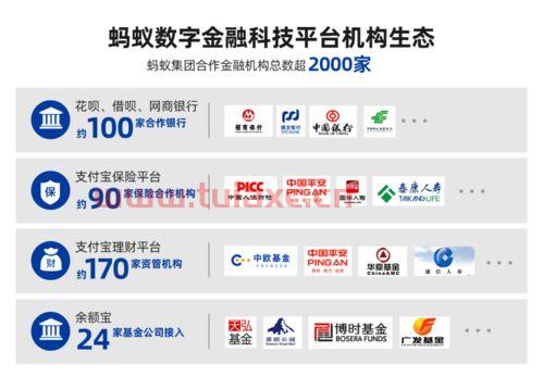 蚂蚁股票学校