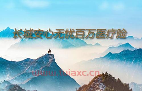 长城安心回报