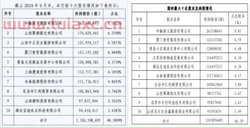 十大股东