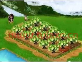 农林牧渔