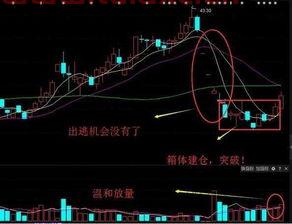 股市如何买涨跌的股票呢