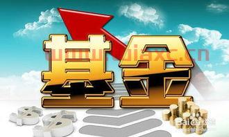 新手买基金怎么选
