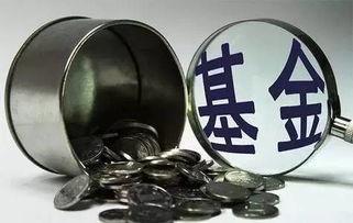 基金为什么赚的少亏的多