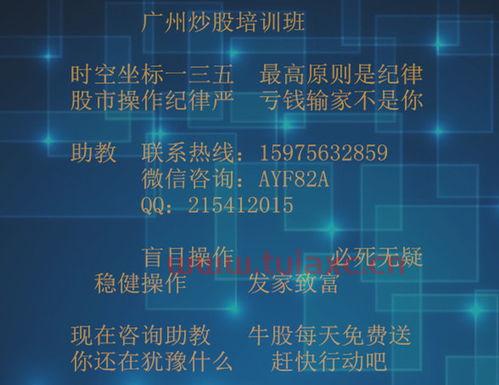 股市入门基础知识视频教学