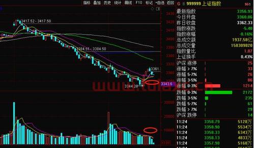 大盘下跌个股上涨说明什么