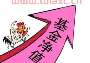 519019基金