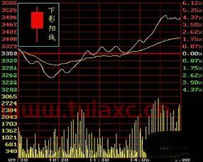 股票k线图基础知识书籍