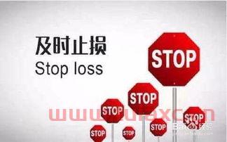 短期基金怎么玩才能赚钱快呢视频