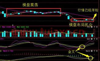 股票跌完了还能回本吗