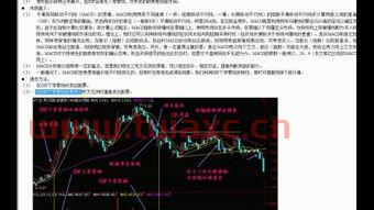 股票买跌怎么操作视频教程