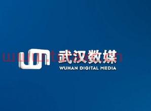精伦电子股份有限公司