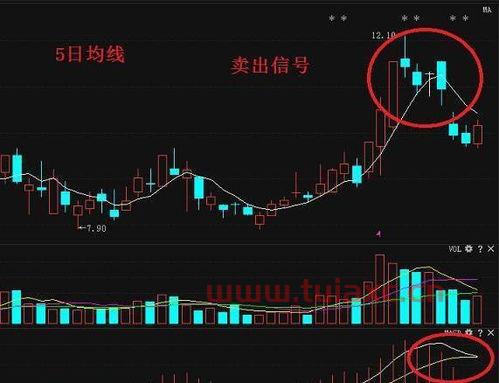 在哪里看股市大盘K线