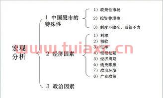 股票的基本知识点