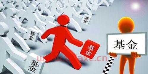 新手咋样买基金好