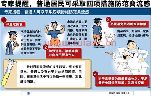 禽流感新闻