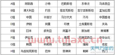2022世界杯预选赛亚洲区积分榜