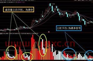 成交量趋势指标公式无未来
