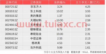 000725资金流向
