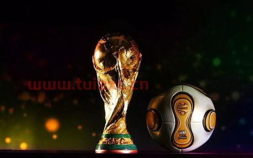 世界杯2022有几个参赛