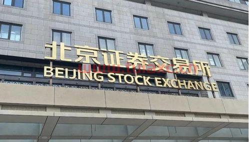 北京证券交易所有哪些公司