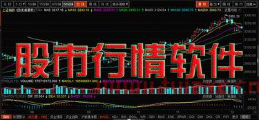 用什么软件看股市行情最准