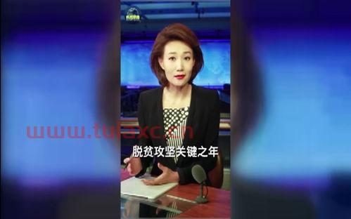 浙江卫视直播在线观看高清直播