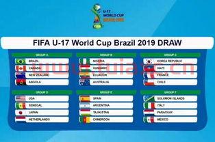 2019u17世界杯分组