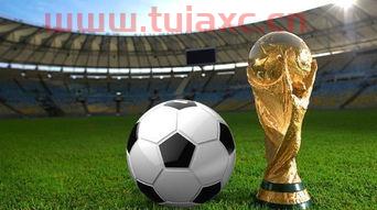 中国足球无缘2022世界杯