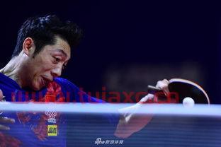 2019乒乓球亚锦赛