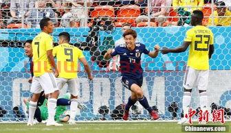 世界杯2022球队数量