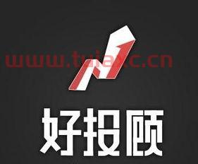 中国*的证券投顾公司