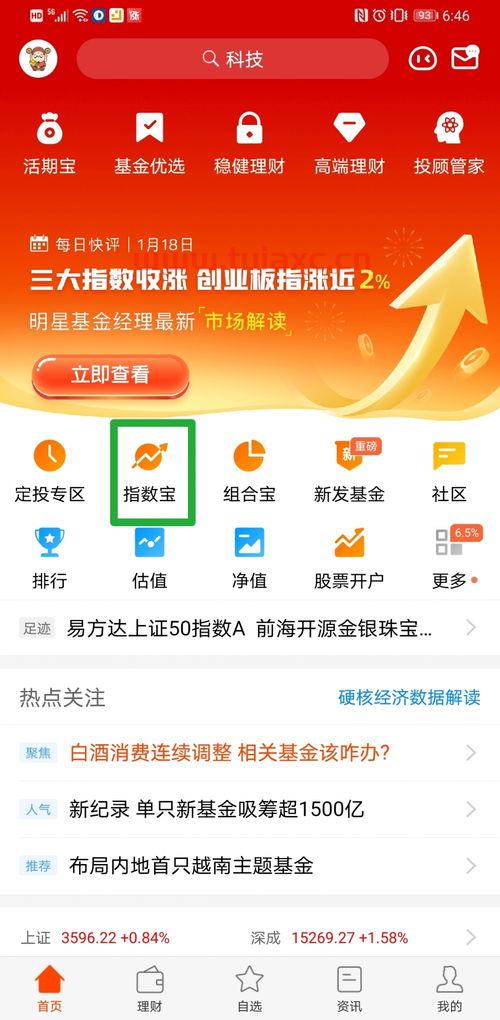 天天基金估值
