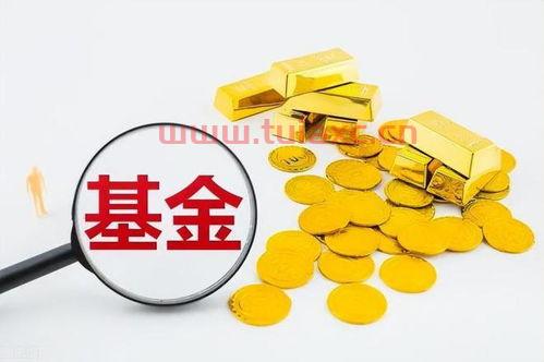 理财怎么买基金