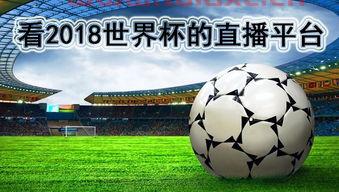 世界杯2018哪个台直播