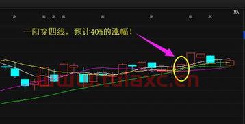 科技类股票有哪些龙头股份公司呢（科技类的龙头股有哪些） 第1张